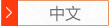 中文網(wǎng)站
